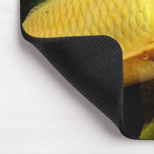 Koi Carp Mouse Mat Mousepad (Ecke)
