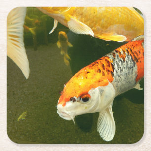 Koi Carp Paper Untersetzer