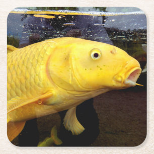 Koi Carp Paper Untersetzer