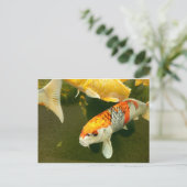 Koi Carp Postcard Postkarte (Stehend Vorderseite)