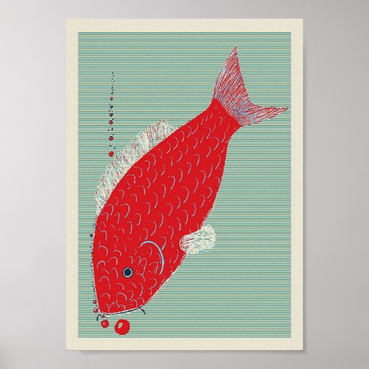 Koi Carp Poster (Vorne)