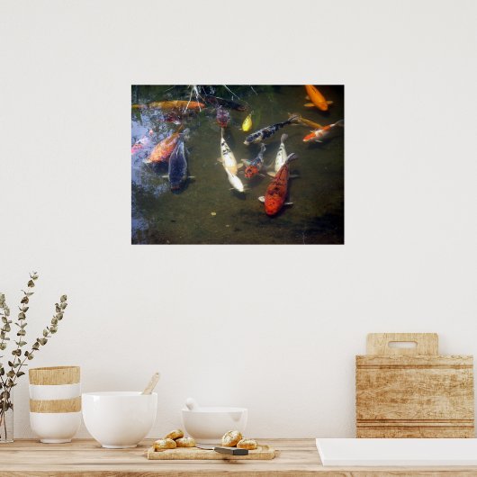 Koi Carp Poster (Küche)