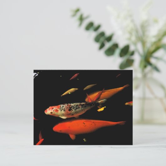 Koi Carp Postkarte (Stehend Vorderseite)