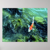 Koi Carp: Tokio, Japan Poster (Vorne)
