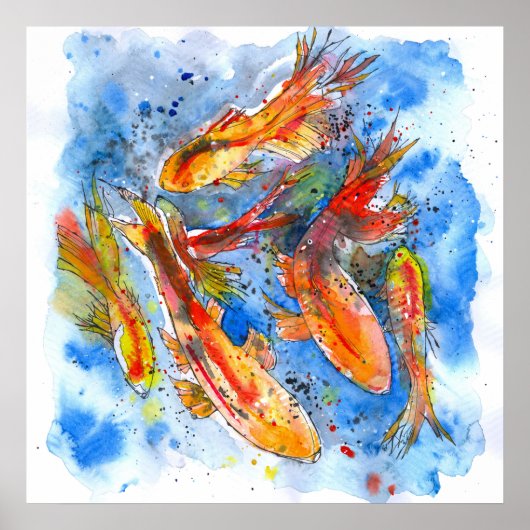 Koi Dreaming Poster (Vorne)