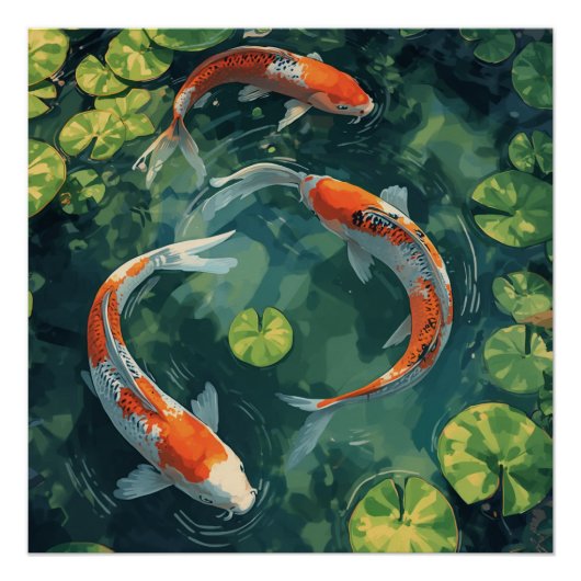 KOI FISCH ANIMALS POSTER (Vorderseite)