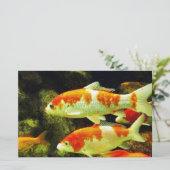 Koi-Fisch Briefpapier (Stehend Vorderseite)