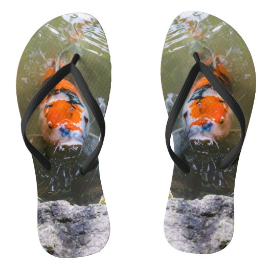 Koi-Fisch in einem Teich Badesandalen (Fußbett)