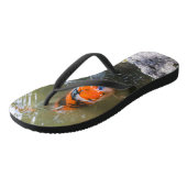 Koi-Fisch in einem Teich Badesandalen (Schrägansicht)