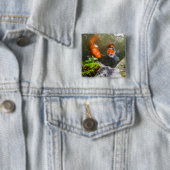 Koi-Fisch in einem Teich Button (Beispiel)