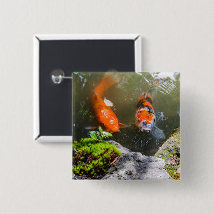 Koi-Fisch in einem Teich Button
