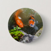 Koi-Fisch in einem Teich Button (Vorderseite)
