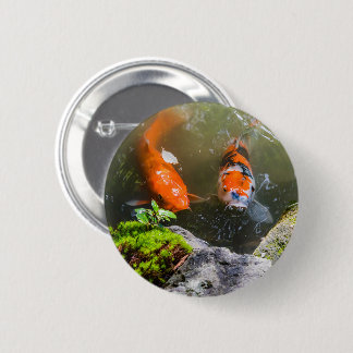 Koi-Fisch in einem Teich Button