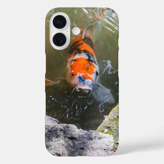 Koi-Fisch in einem Teich Case-Mate iPhone Hülle (Rückseite)