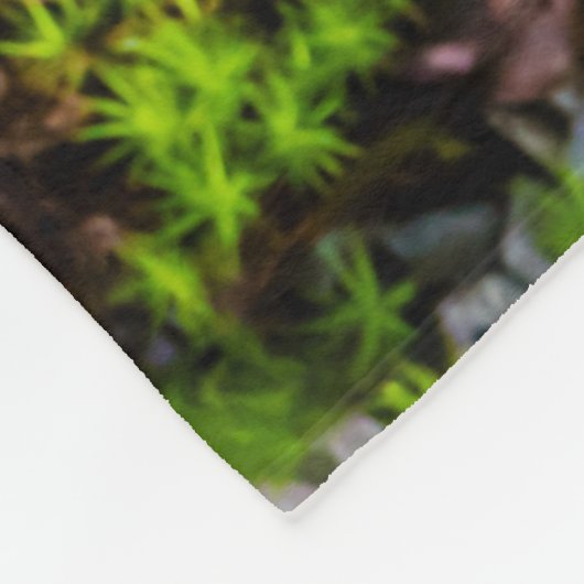 Koi-Fisch in einem Teich Fleecedecke (Ecke)