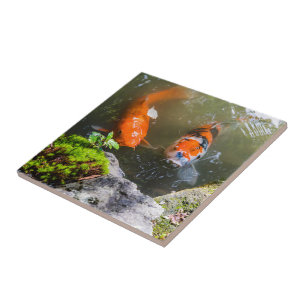 Koi-Fisch in einem Teich Fliese