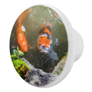 Koi-Fisch in einem Teich Keramikknauf