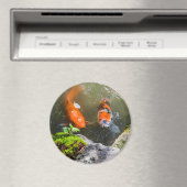 Koi-Fisch in einem Teich Magnet (In Situ (Geschirrspüler))