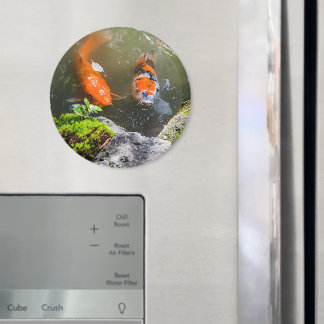 Koi-Fisch in einem Teich Magnet