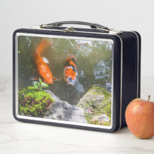 Koi-Fisch in einem Teich