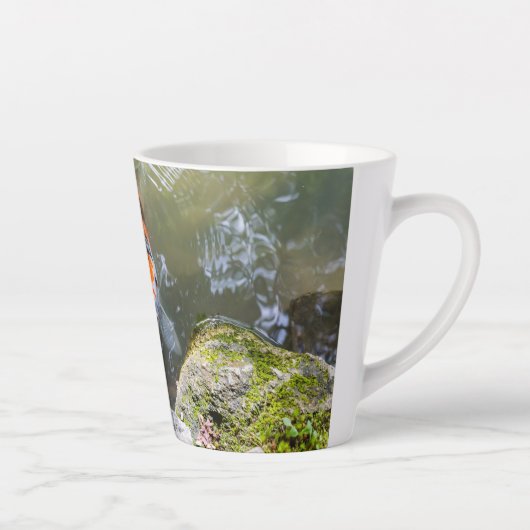 Koi-Fisch in einem Teich Milchtasse (Rechts)