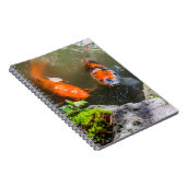 Koi-Fisch in einem Teich Notizblock (Rechte Seite)