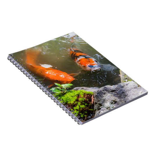 Koi-Fisch in einem Teich Notizblock (Rechte Seite)