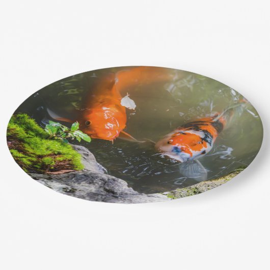 Koi-Fisch in einem Teich Pappteller (Schrägansicht)