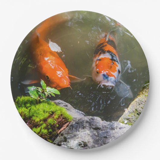 Koi-Fisch in einem Teich Pappteller (Vorderseite)