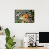 Koi-Fisch in einem Teich Poster (Heimbüro)