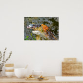 Koi-Fisch in einem Teich Poster (Küche)