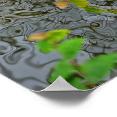 Koi-Fisch in einem Teich Poster (Ecke)