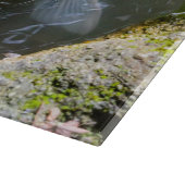 Koi-Fisch in einem Teich Schneidebrett (Ecke)