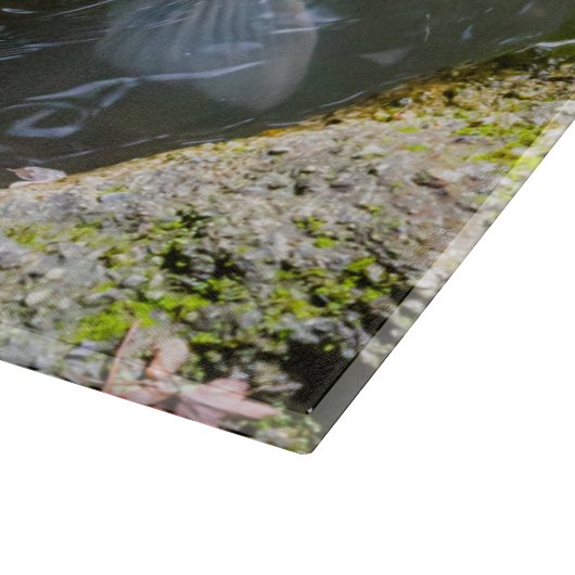 Koi-Fisch in einem Teich Schneidebrett (Ecke)