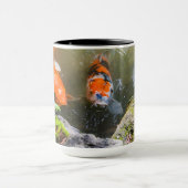 Koi-Fisch in einem Teich Tasse (Zentrum)