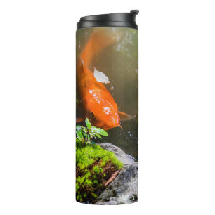 Koi-Fisch in einem Teich Thermosbecher