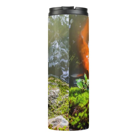 Koi-Fisch in einem Teich Thermosbecher (Rückseite)