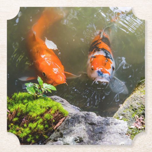 Koi-Fisch in einem Teich Untersetzer (Vorderseite)