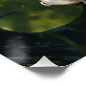 KOI FISCH POSTER (Ecke)