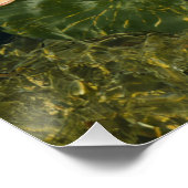 KOI FISCH POSTER (Ecke)