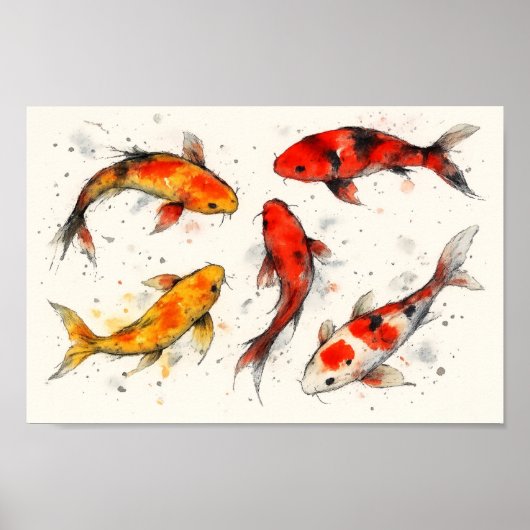 Koi-Fisch Poster (Vorne)