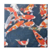 Koi Fische Fliese (Vorderseite)