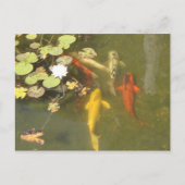 Koi Fische in einem Lilienteich Postkarte (Vorderseite)