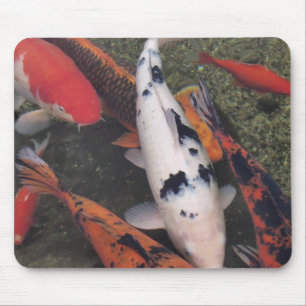 Koi Fische Mousepad