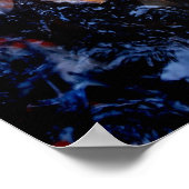 Koi Fish in a Fütternd Frenzy, Oahu Poster (Ecke)