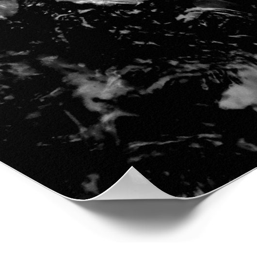 Koi Fish in Fütternd Frenzy, Oahu B&W Poster (Ecke)