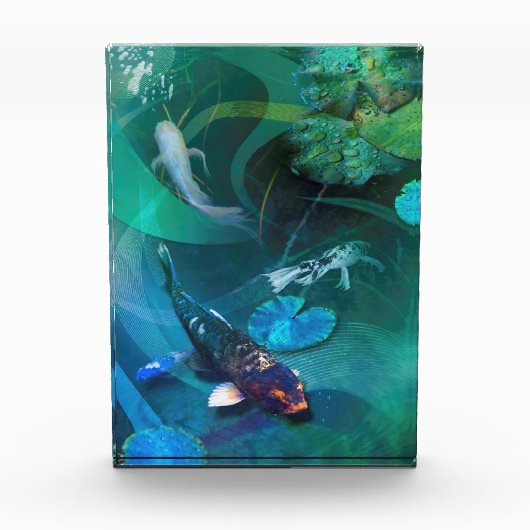 Koi Fish JOY OF KOI Fotoblock (Vorderseite)