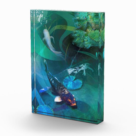 Koi Fish JOY OF KOI Fotoblock (Rechts)