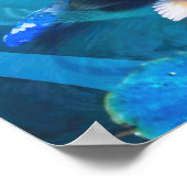 Koi Fish JOY OF KOI Poster (Ecke)