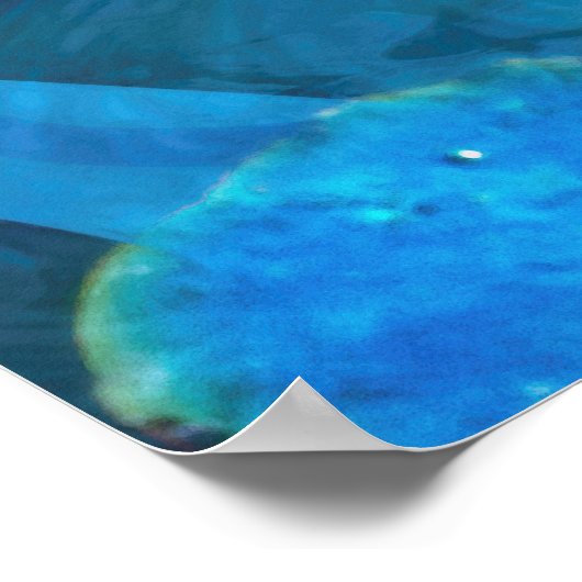 Koi Fish JOY OF KOI Poster (Ecke)